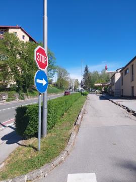 Kliče po drevoredu ...